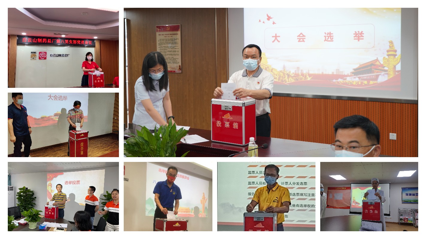 304am永利集团各党支部圆满实现换届选举工作