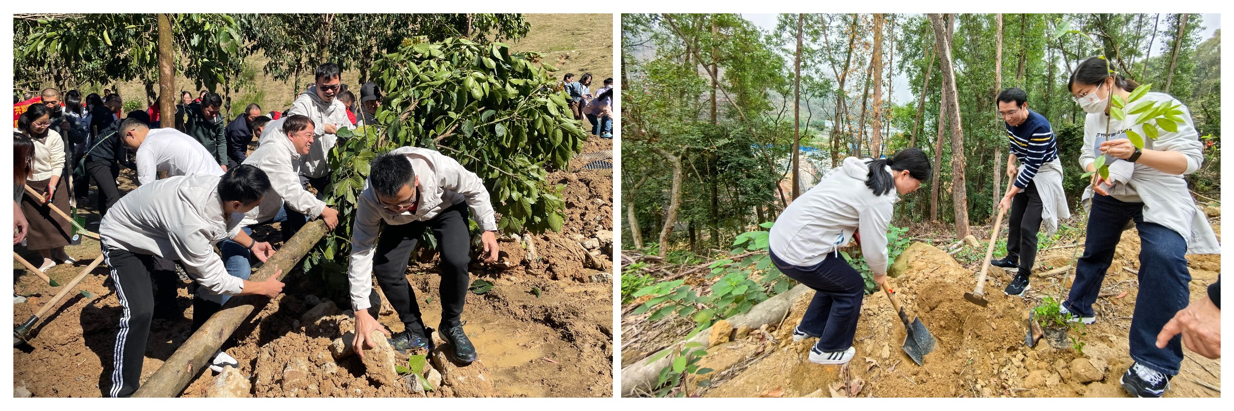 304am永利集团·(中国)有限公司官网